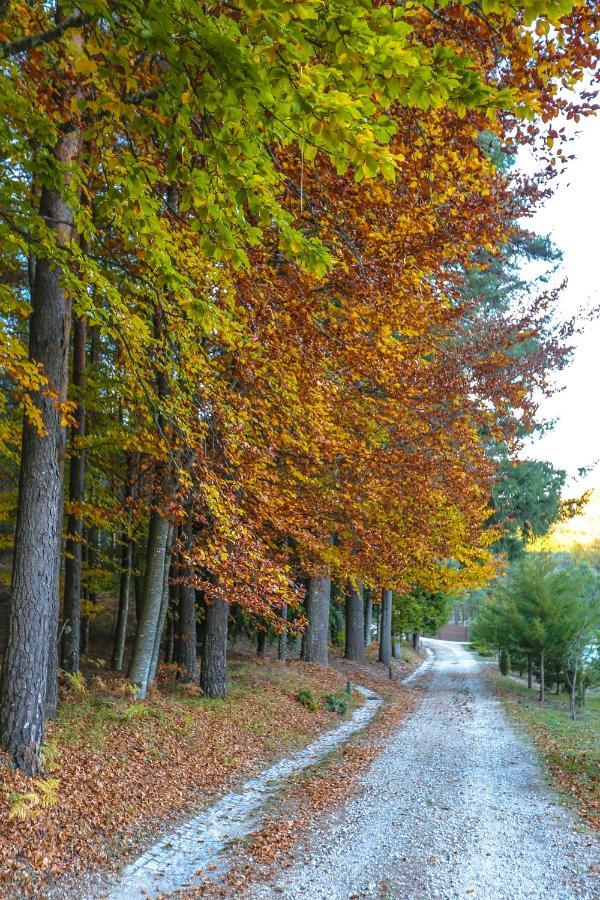 Boticas Parque Natur Houses Экстерьер фото