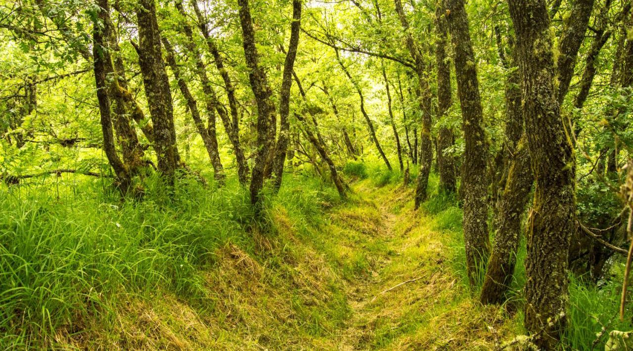 Boticas Parque Natur Houses Экстерьер фото