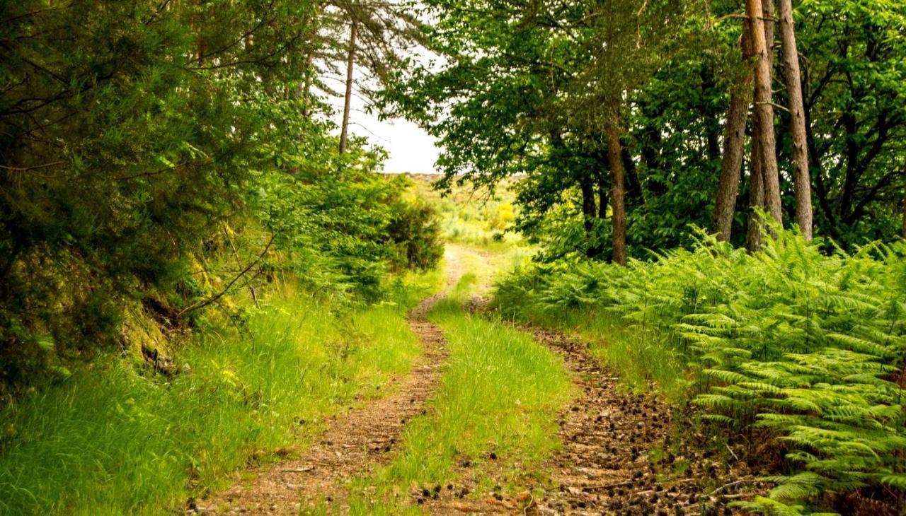 Boticas Parque Natur Houses Экстерьер фото